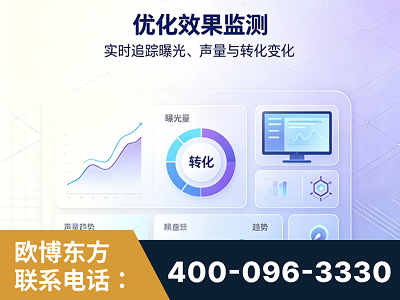定西-优化效果监测