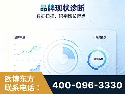 定西-品牌现状诊断