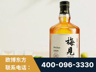 定西-梅见青梅酒